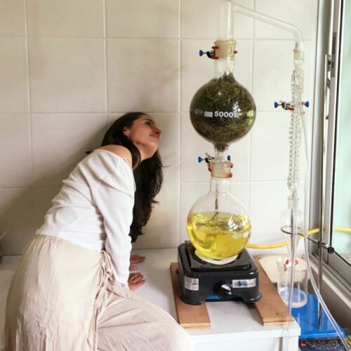 IMG-20221013-WA0004 IMG-20221013-WA0004